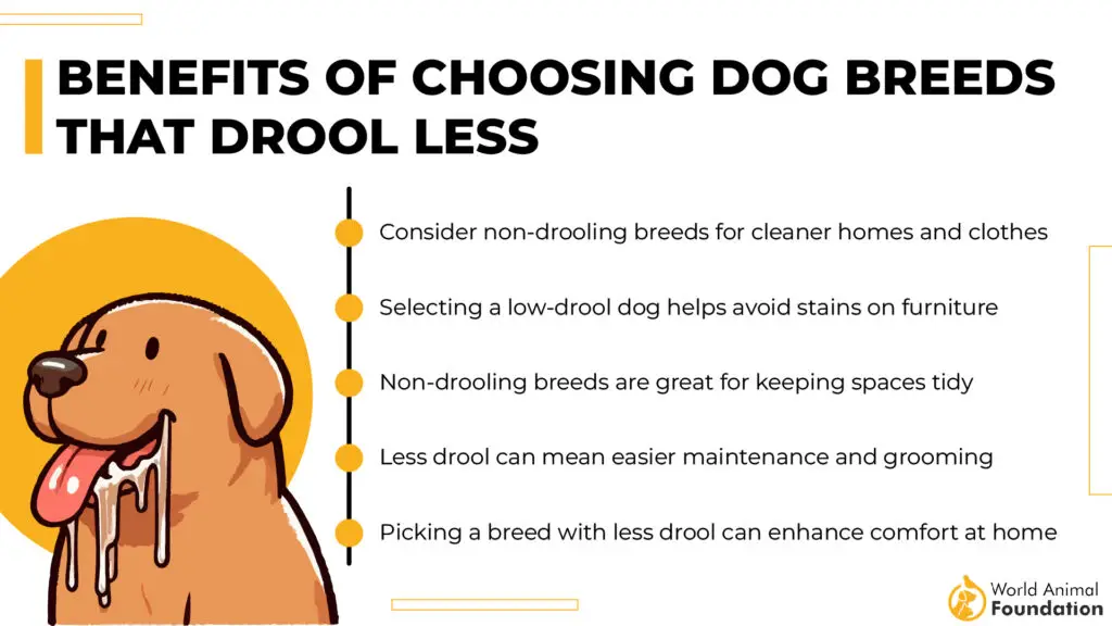 Benefits of Choosing Dog Breeds That Drool Less