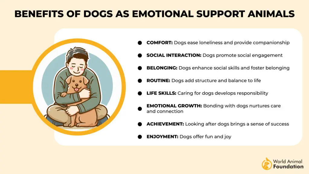 Benefits of Dogs as Emotional Support Animals