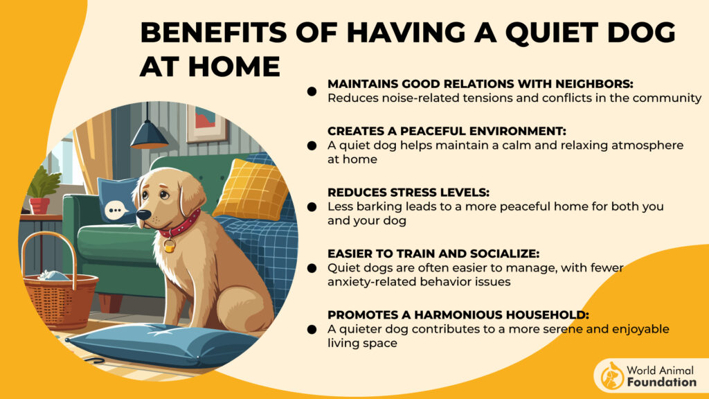 Benefits of Having a Quiet Dog at Home