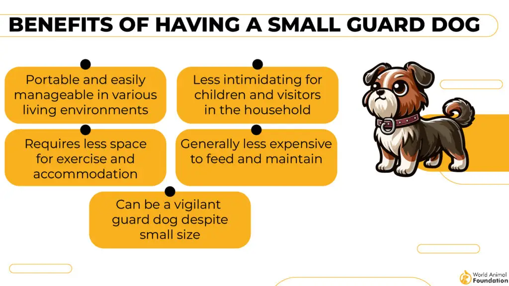 Benefits of Having a Small Guard Dog