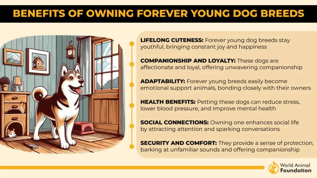 Benefits of Owning Forever Young Dog Breeds