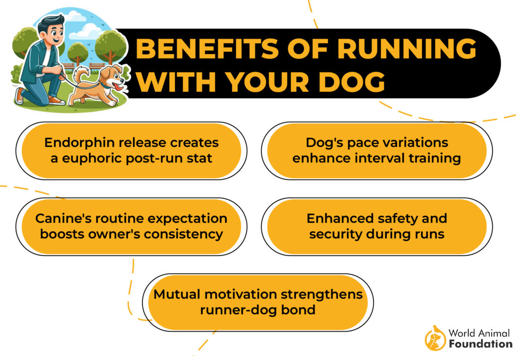 Benefits of Running with Your Dog