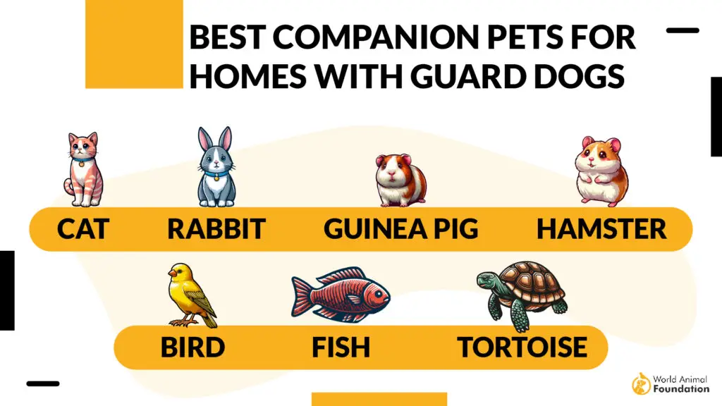 Best Companion Pets for Homes with Guard Dogs-01