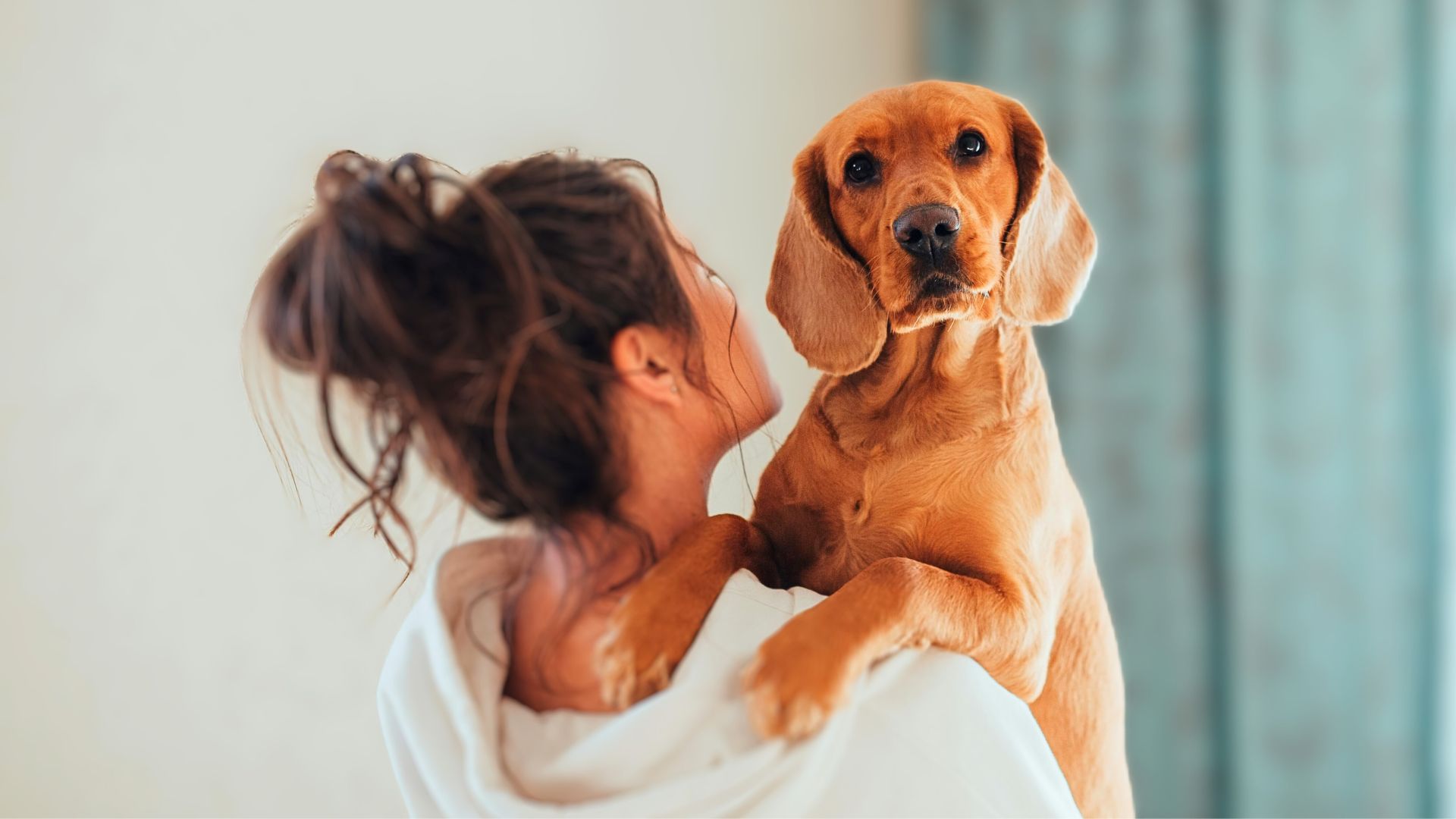 Best Dog Breeds for Women Living the Single Life 1