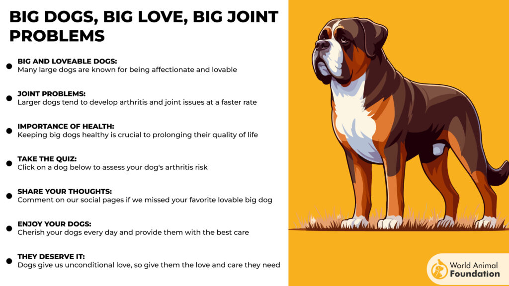 Big Dogs, Big Love, Big Joint Problems