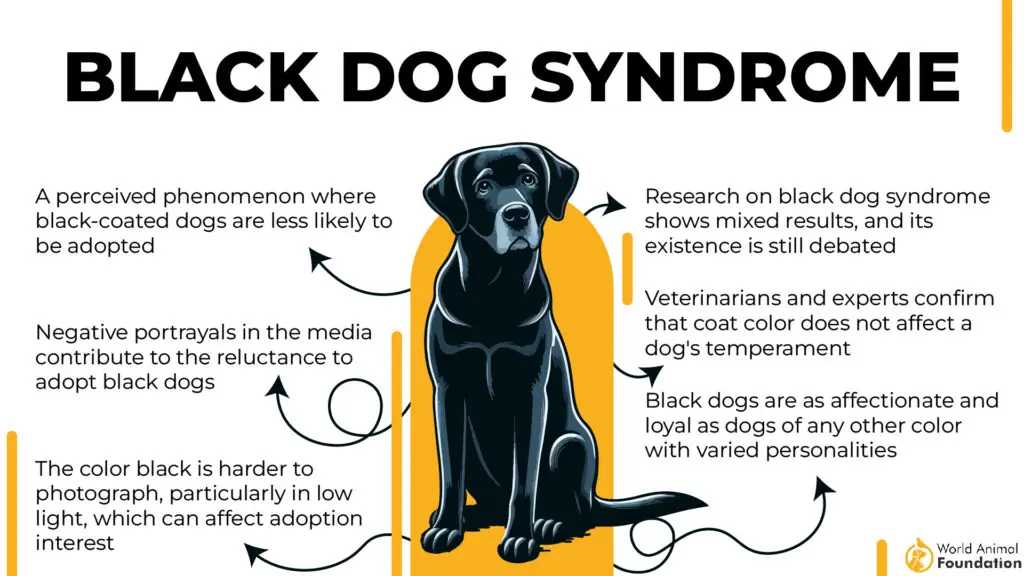 Black Dog Syndrome