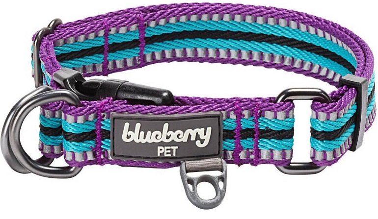 Blueberry Pet 3M Multi Colored Dog Collar review