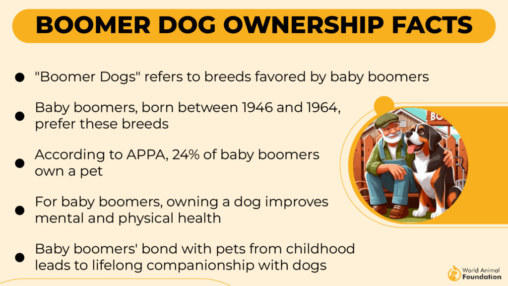 Boomer Dog Ownership Facts