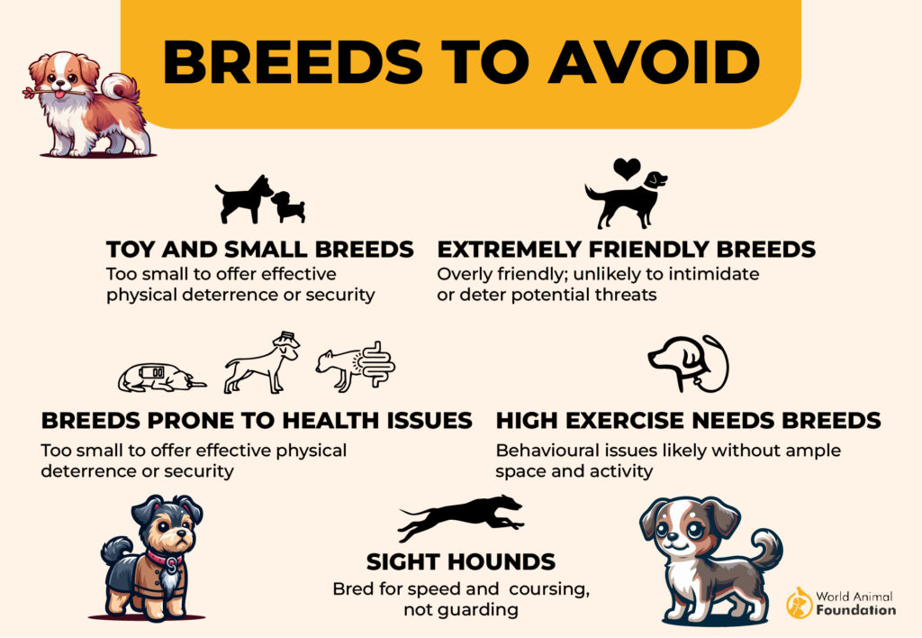 Breeds to Avoid for personal protection