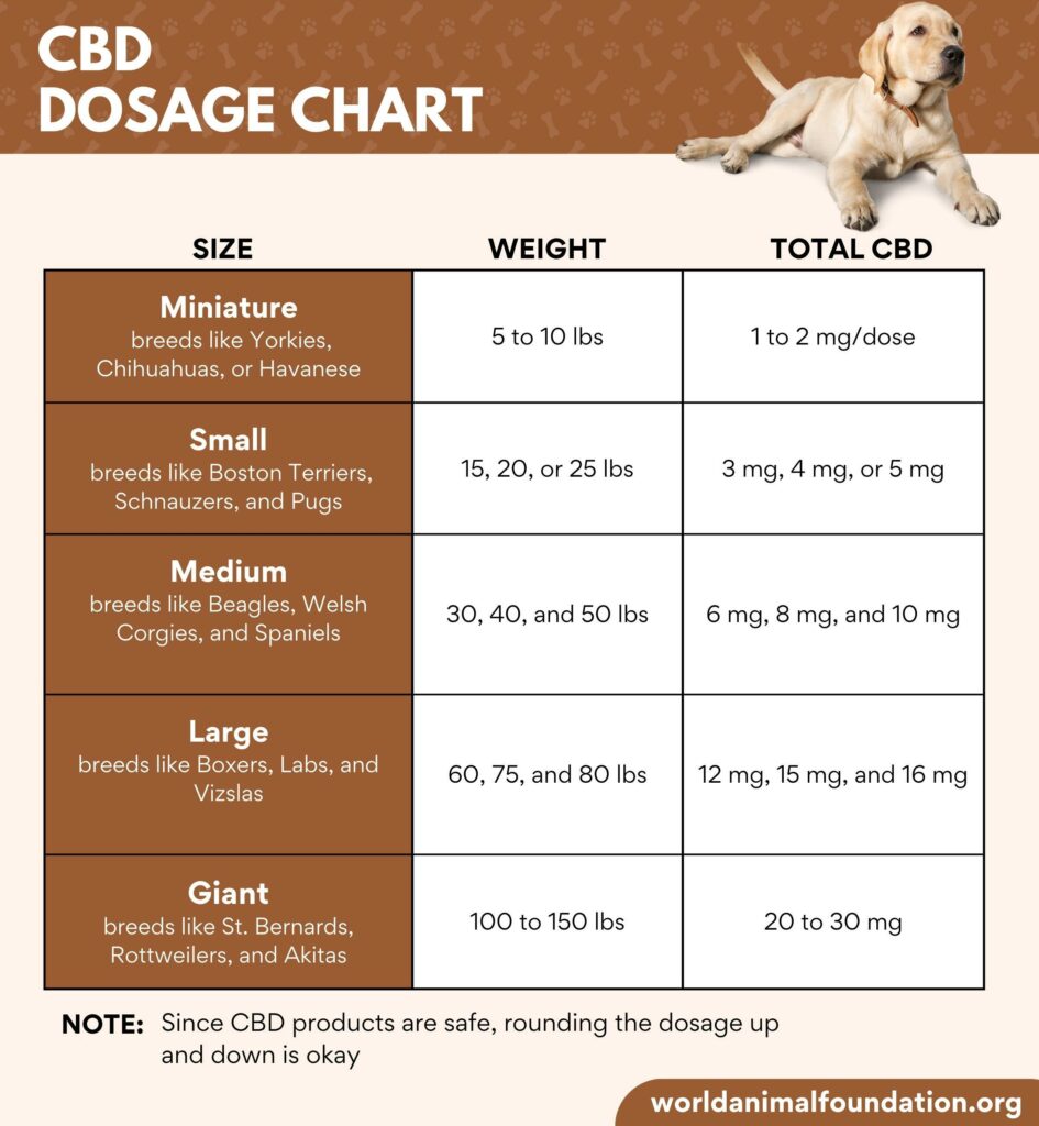 CBD Dose for Dogs