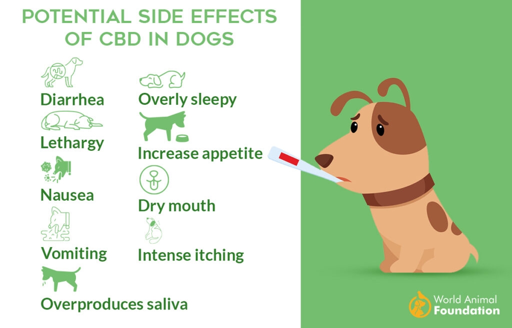 Side Effects of CBD