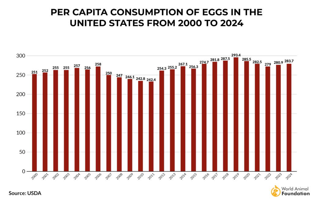 CONSUMPTION OF EGGS IN THE US