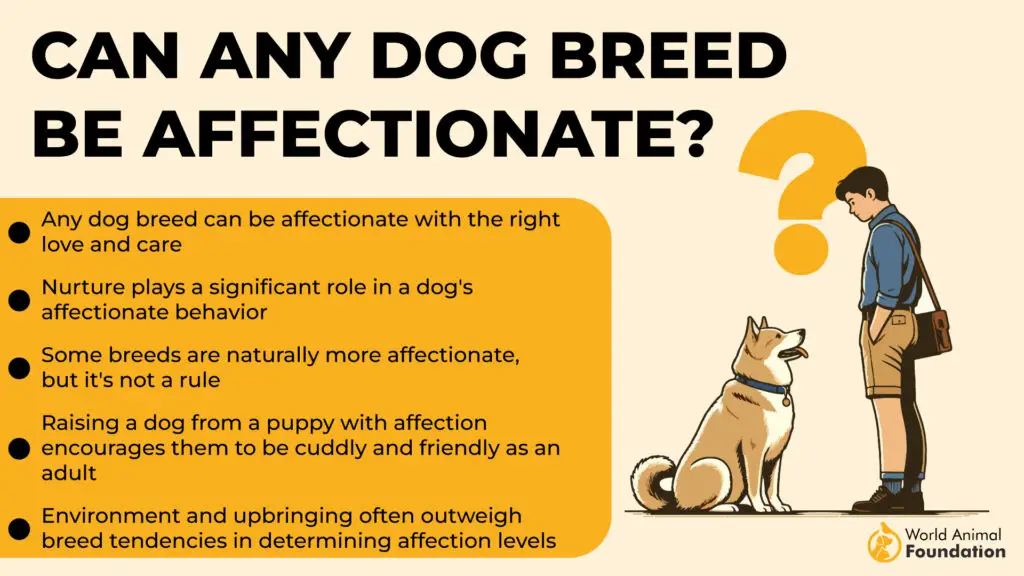 Can Any Dog Breed Be Affectionate