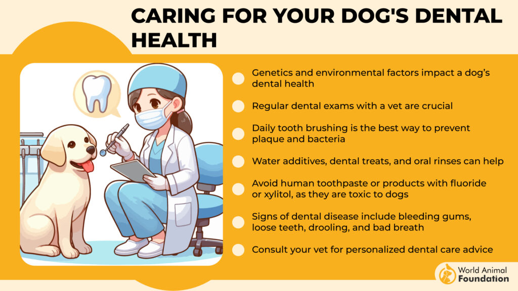 Caring for Your Dog's Dental Health