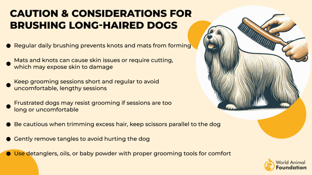 Caution & Considerations for Brushing Long-Haired Dogs