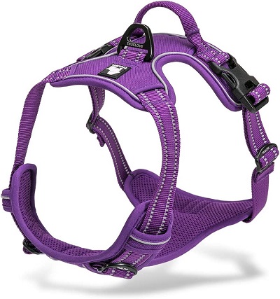 Chais Choice Premium Dog Harness REVIEW