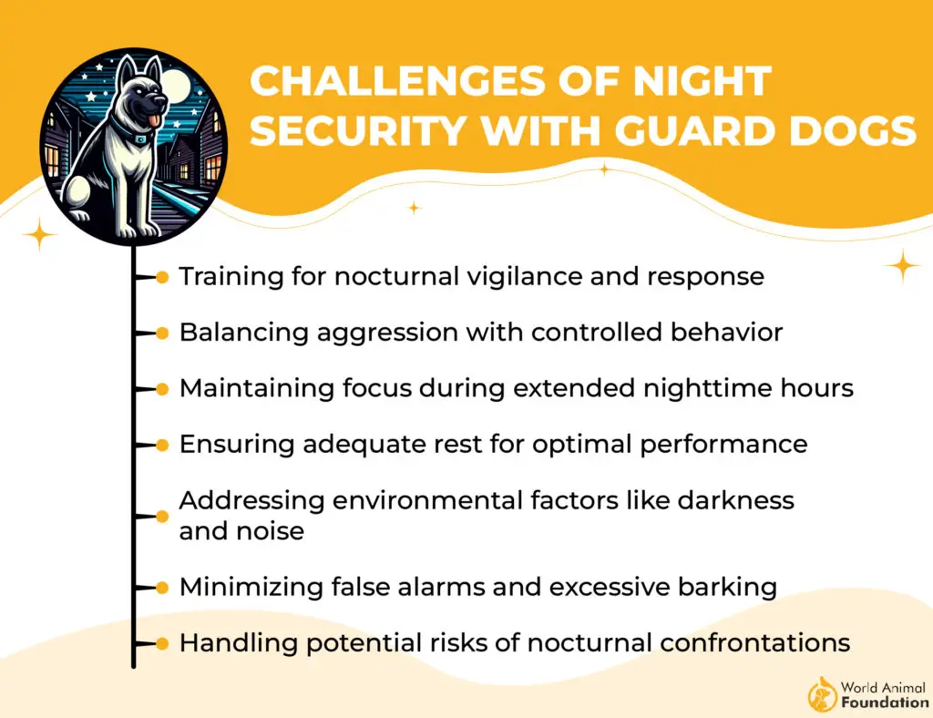 Challenges of Night Security with Guard Dogs