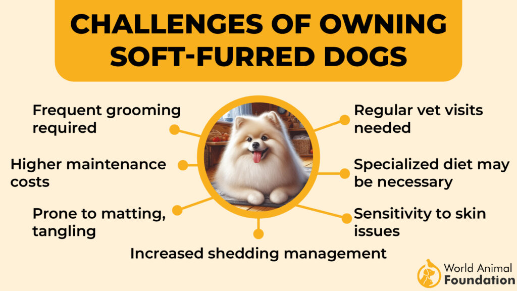 Challenges of Owning Soft-Furred Dogs