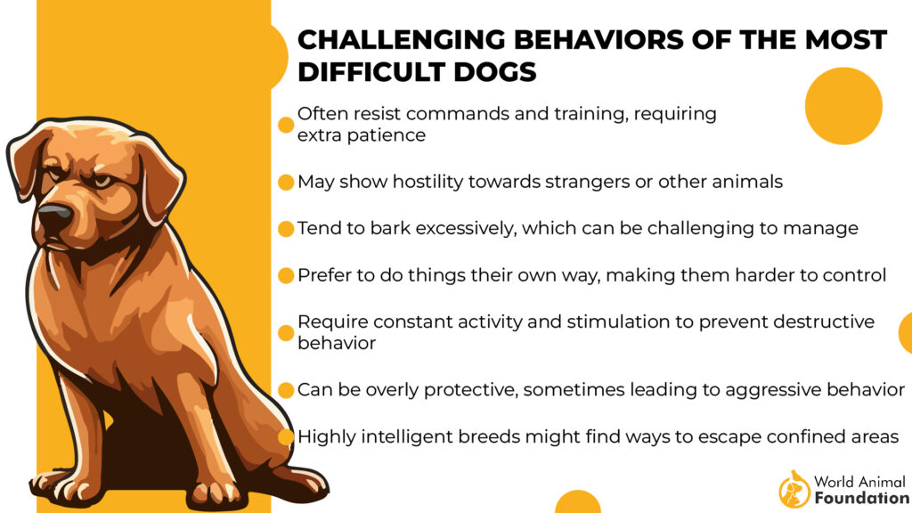 Challenging Behaviors of the Most Difficult Dogs