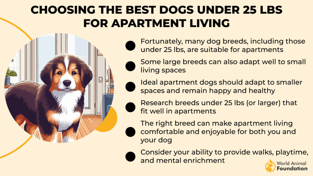 best Dogs Under 25 Lbs for Apartment