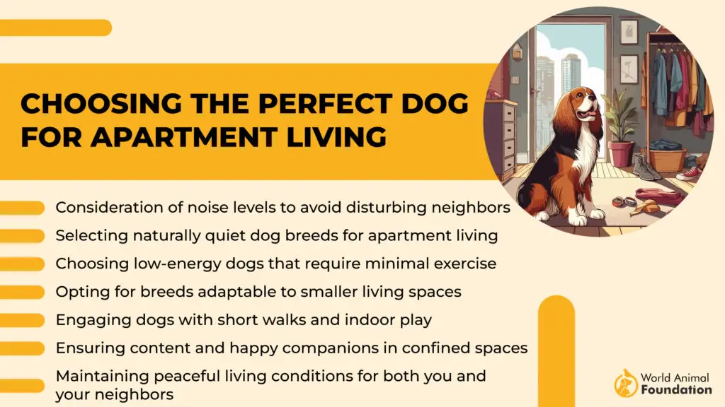 Choosing the Perfect Dog for Apartment Living