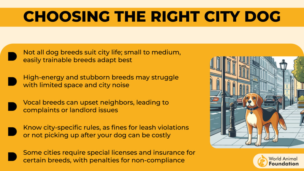 Choosing the Right City Dog