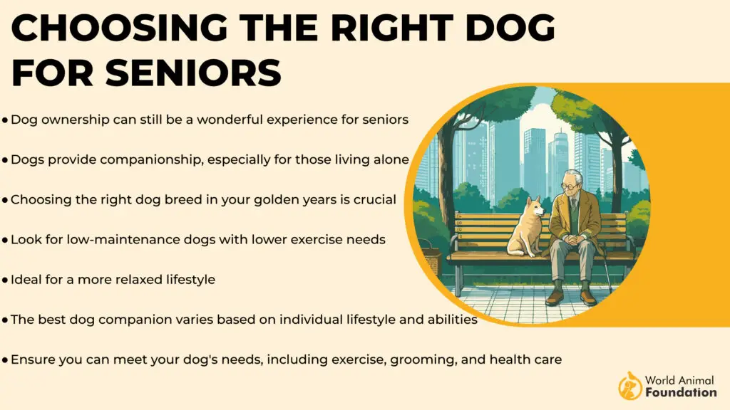 Choosing the Right Dog for Seniors