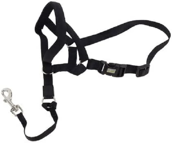 Coastal Pet Walk n Train Dog Head Halter Review 1