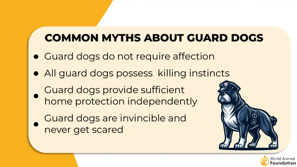 Common Myths About Guard Dog