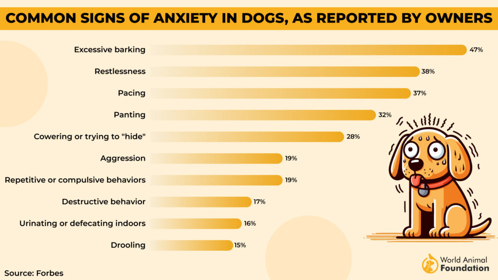 Common Signs of Anxiety in Dogs, As Reported by Owners