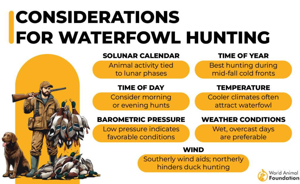 Considerations for Waterfowl Hunting