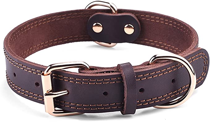 DAIHAQIKO Leather Dog Collar review