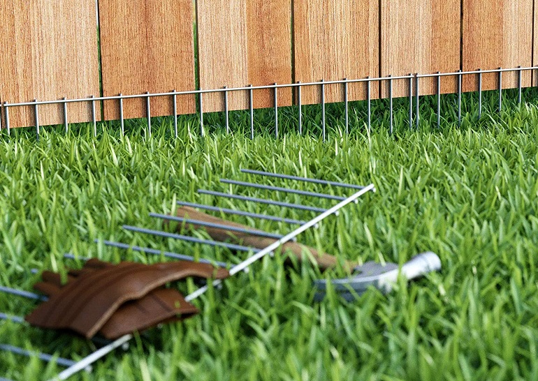 best fence for small dogs