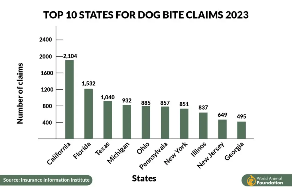 Dog Bite Claims Statistics
