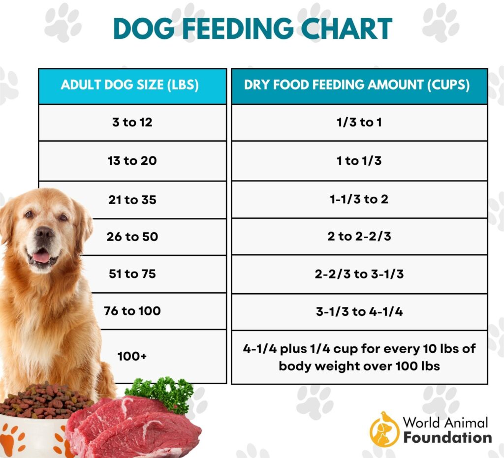 Dog Feeding Chart