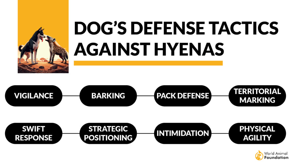 Dog’s Defense Tactics Against Hyenas-01