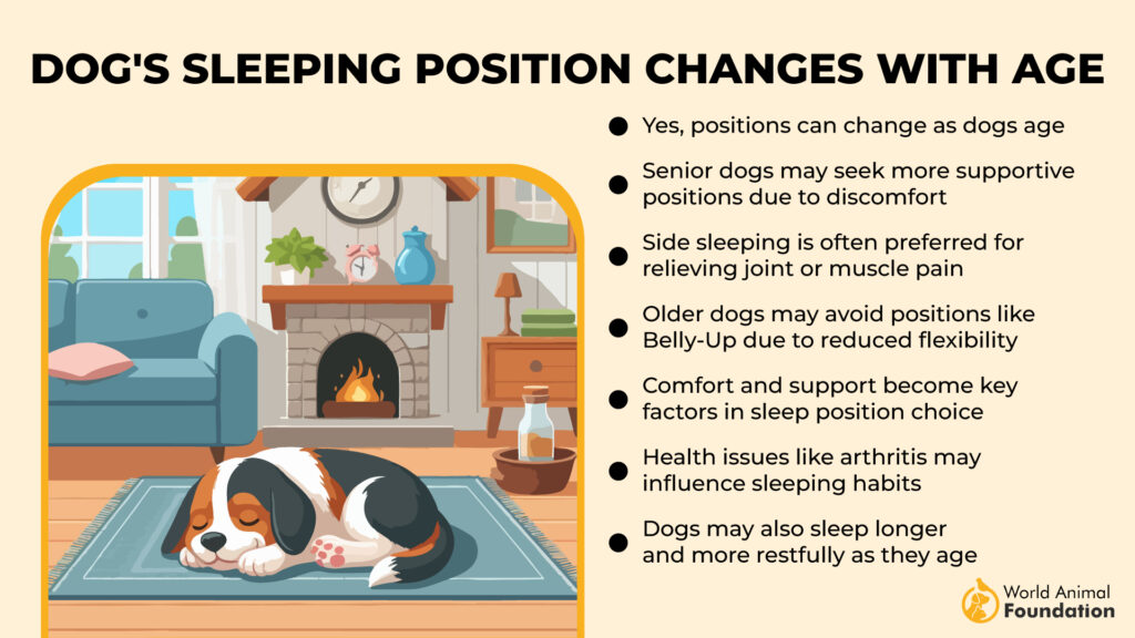 Dog's Sleeping Position Changes with Age