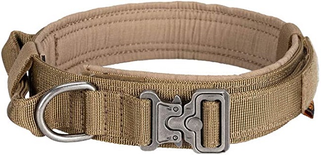 EXCELLENT ELITE SPANKER Tactical Dog Collar review 2