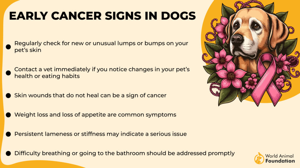 Common Cancer Types in Dogs