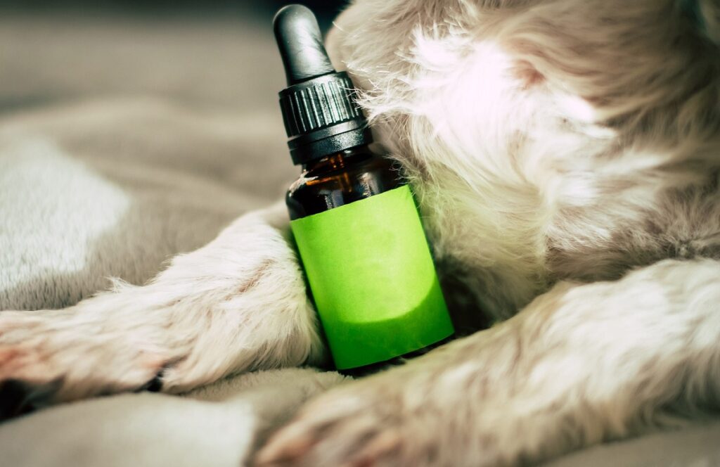 Effects of Pet CBD Oil