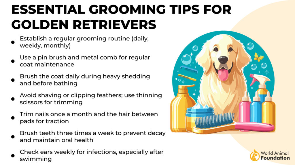 Essential Grooming Tips for Golden Retrievers