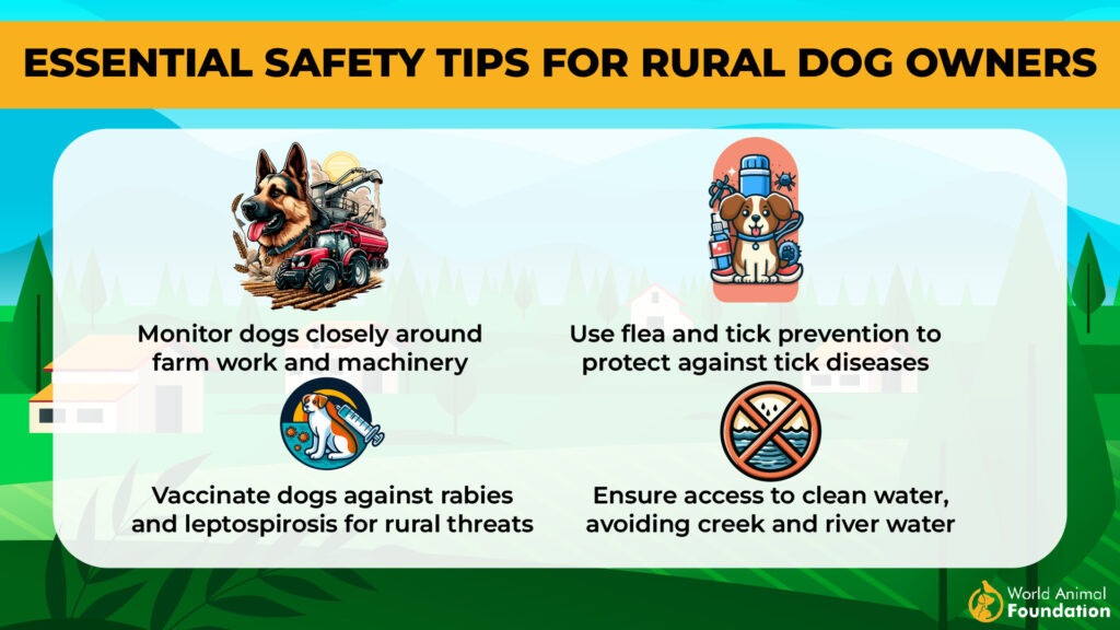 Essential Safety Tips for Rural Dog Owners