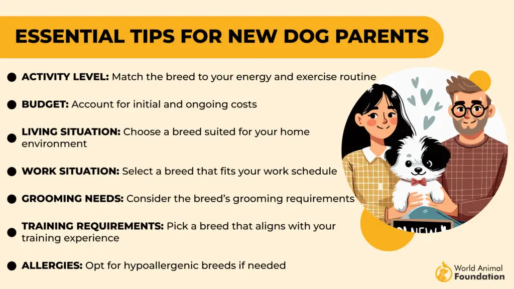 Essential Tips for New Dog Parents