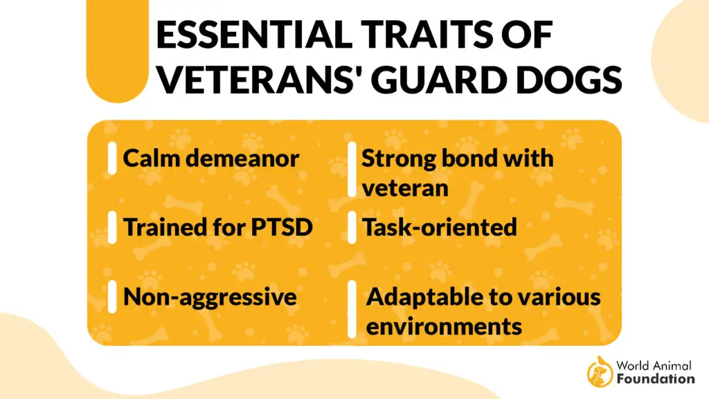 Essential Traits of Veterans' Guard Dogs