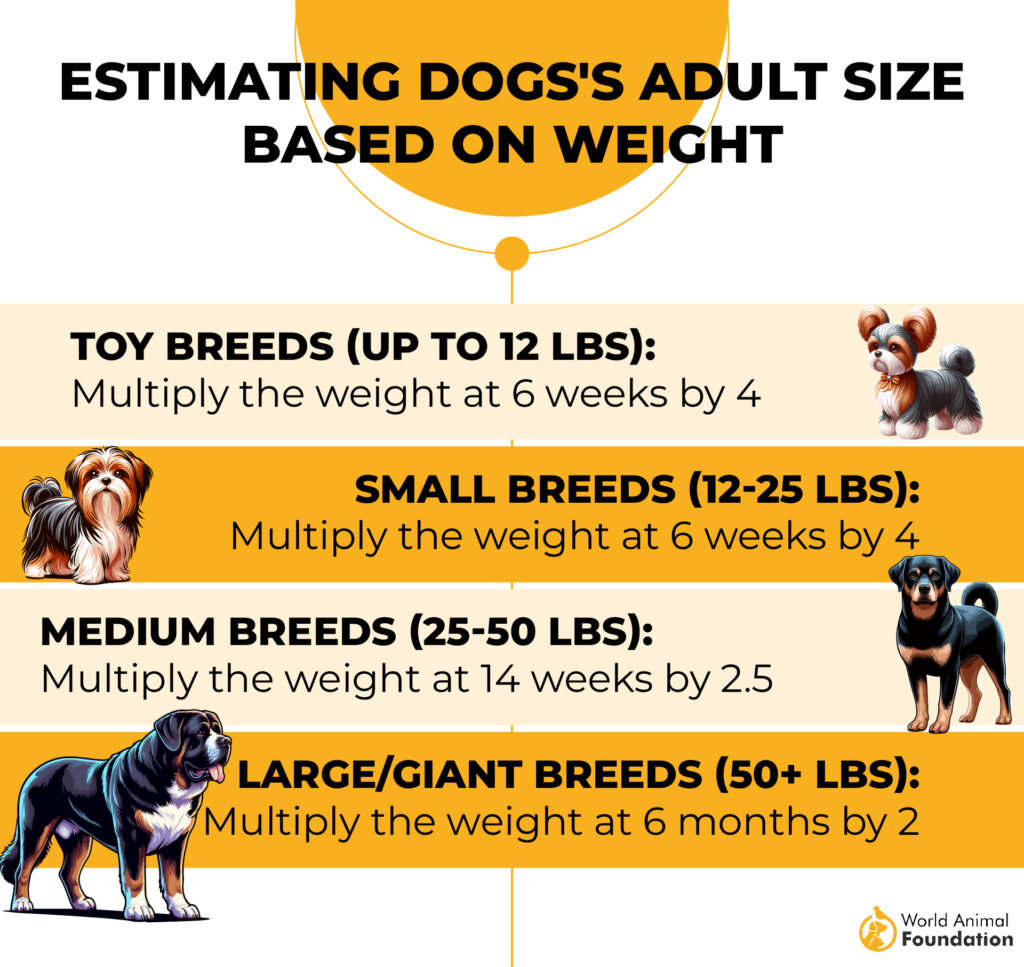 estimating Dogs's Adult Size Based on Weight