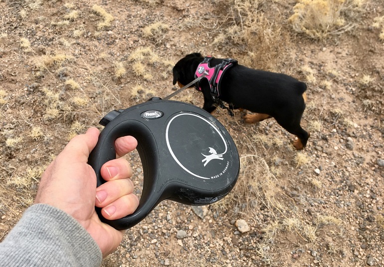 best dog retractable leash