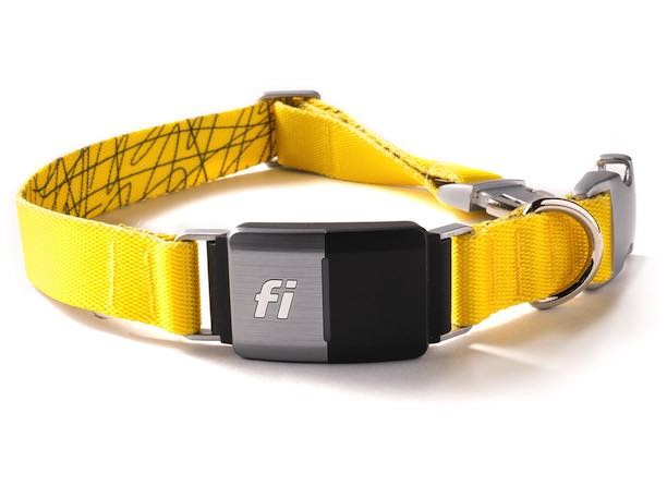 Fi Dog Collar