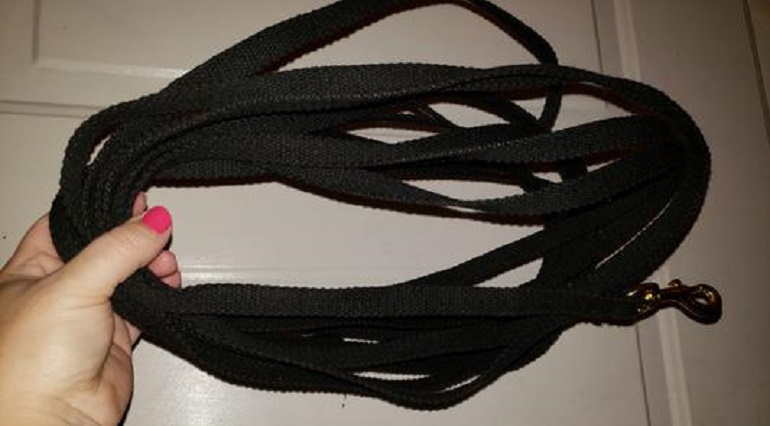 best long leash for dog training