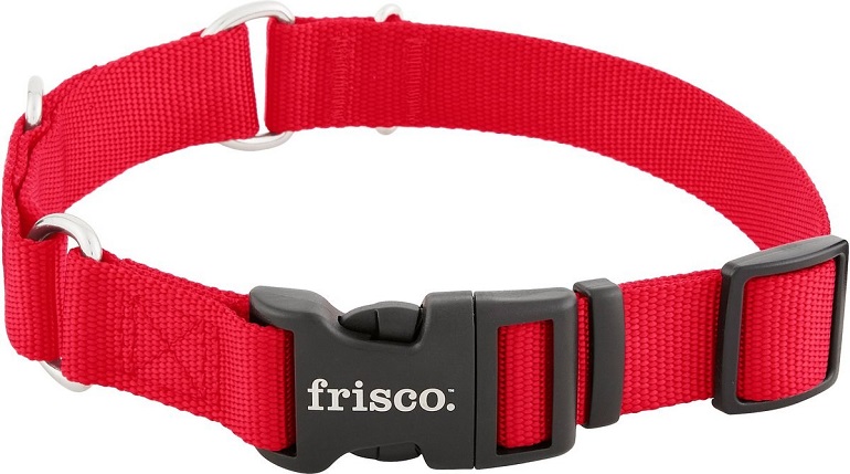 Frisco Solid Nylon Martingale Dog Collar with Buckle Review 1