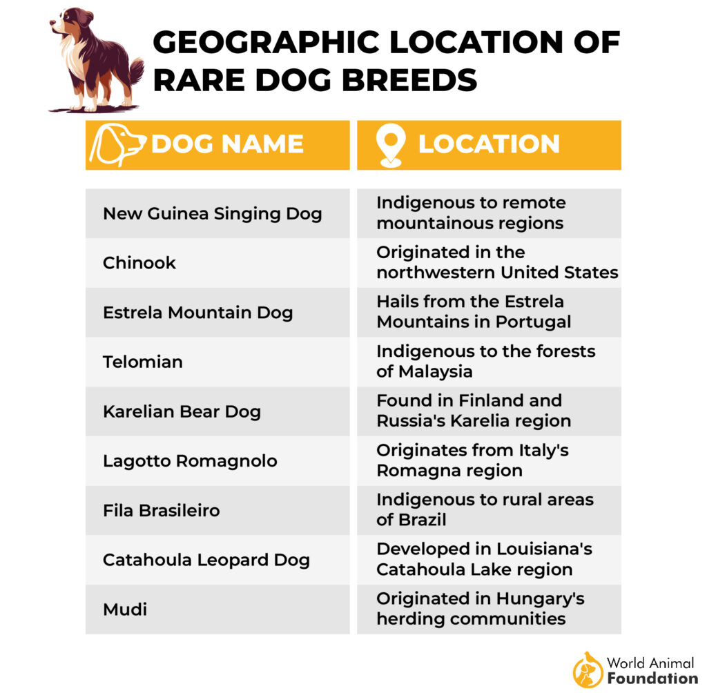 Geographic Location of Rare Dog Breeds